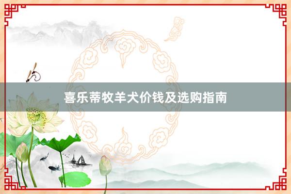 喜乐蒂牧羊犬价钱及选购指南