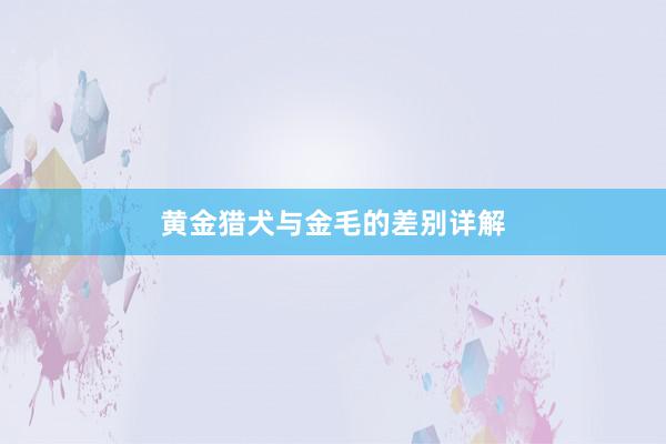 黄金猎犬与金毛的差别详解